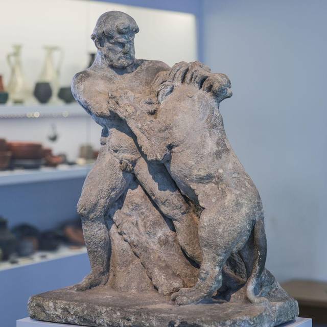 Artensterben im antiken Rom