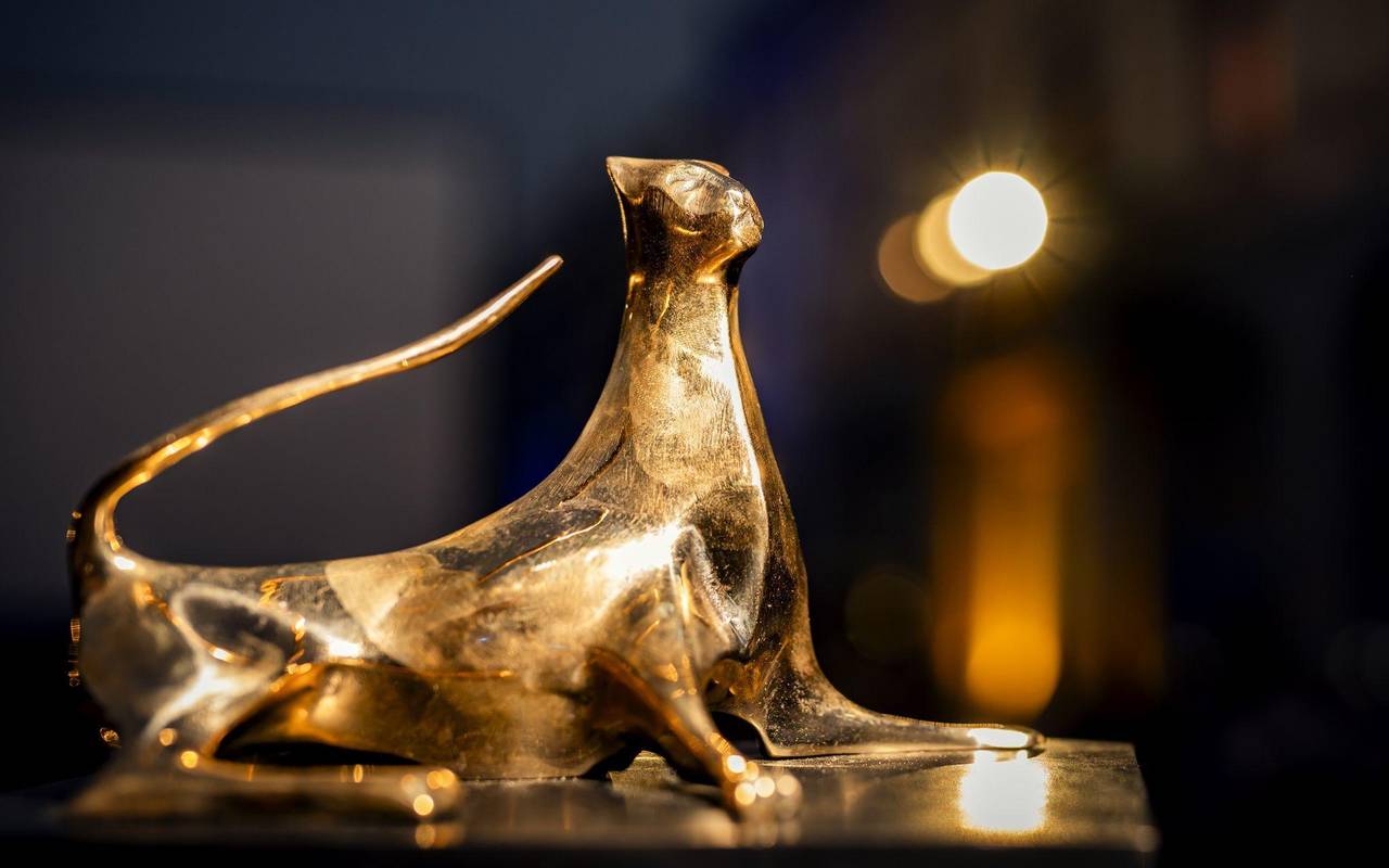 78. Internationales Filmfestival Locarno