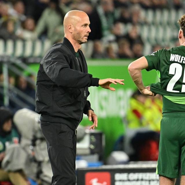 VfL Wolfsburg - TSG Hoffenheim