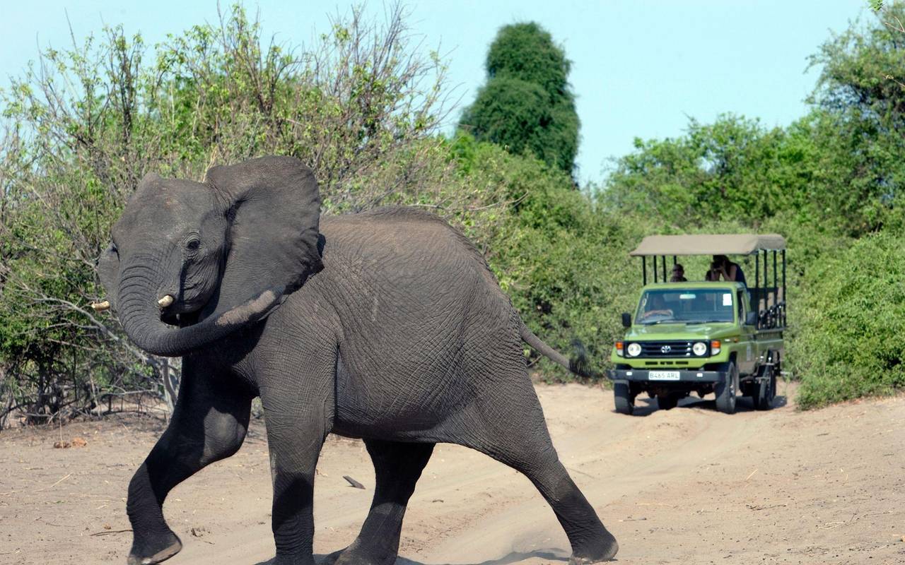 Spaniens Altkönig Juan Carlos