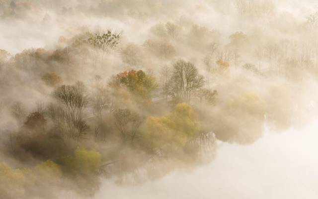 Nebelfelder liegen zwischen Bäumen am Maschsee