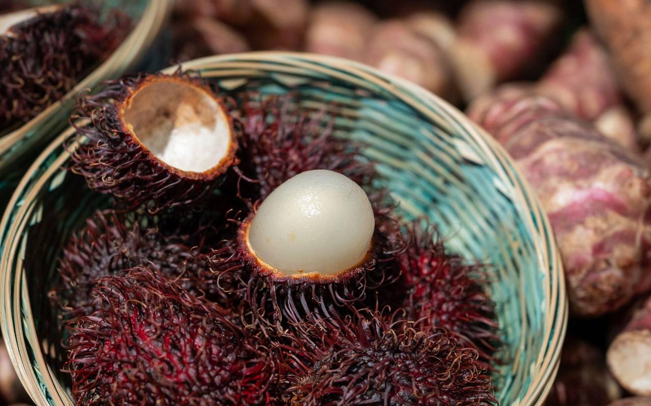 Rambutan (Nephelium lappaceum)