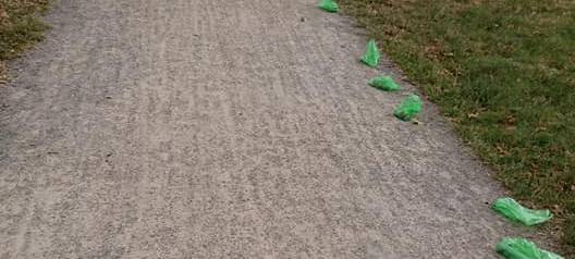 Hundekot-Ärger in Olfen