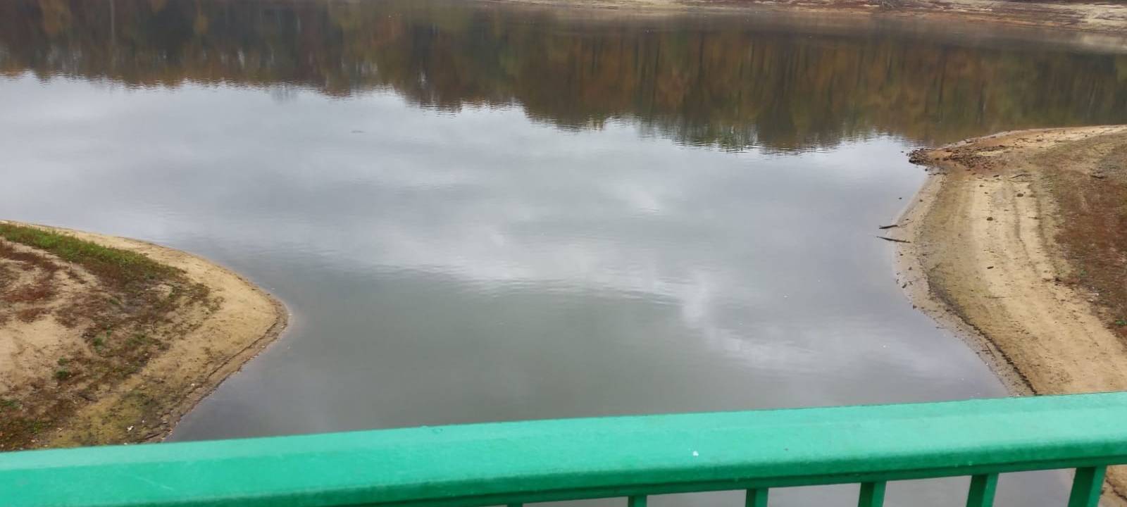Fische ersticken in der Zwischenstever