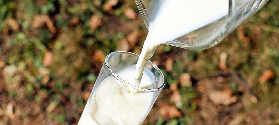 KREIS: Milchpreis etwas gestiegen