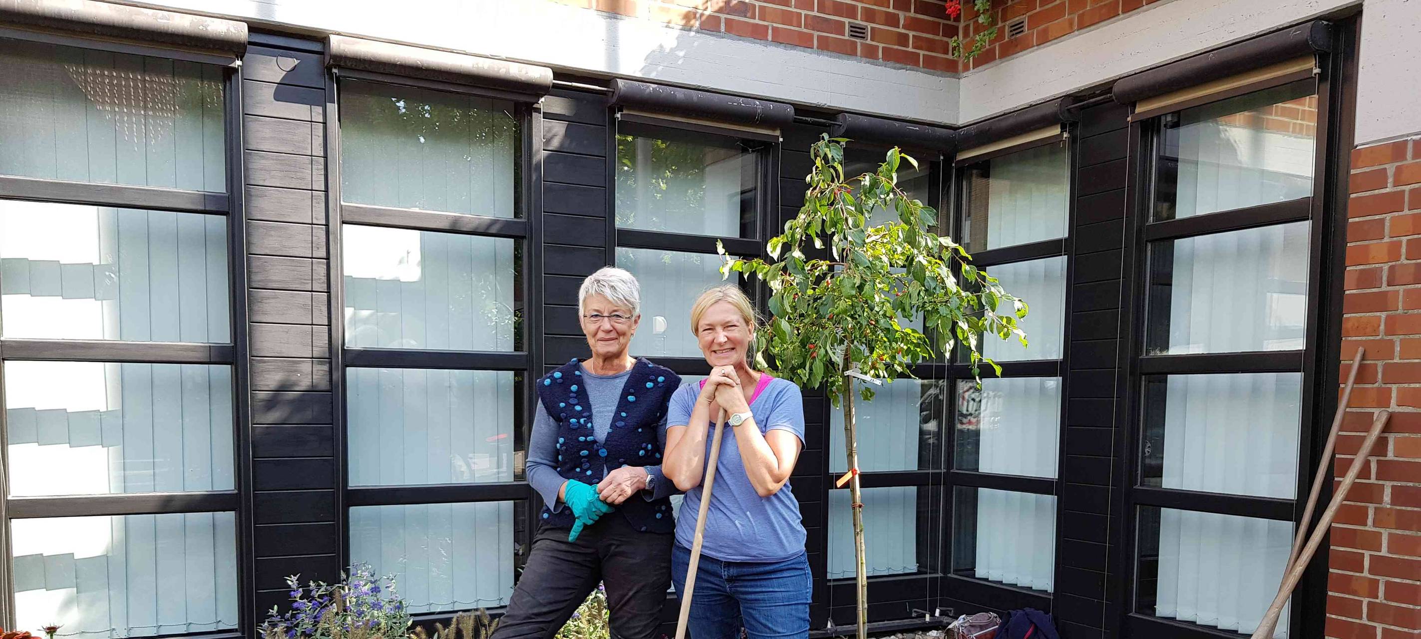 Musterbeet in Senden fertig