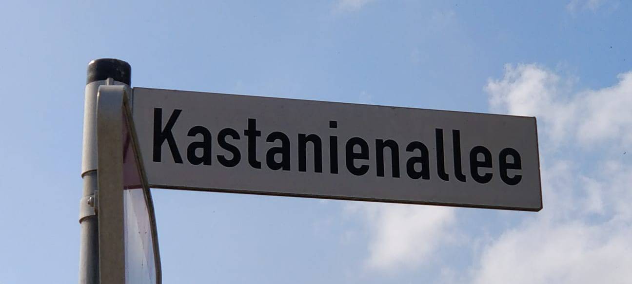 Kastanienallee: Initiative sammelt weiter Unterschriften