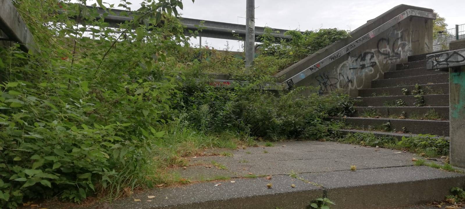 Ärger über zugewucherte Treppen am Dülmener Bahnhof