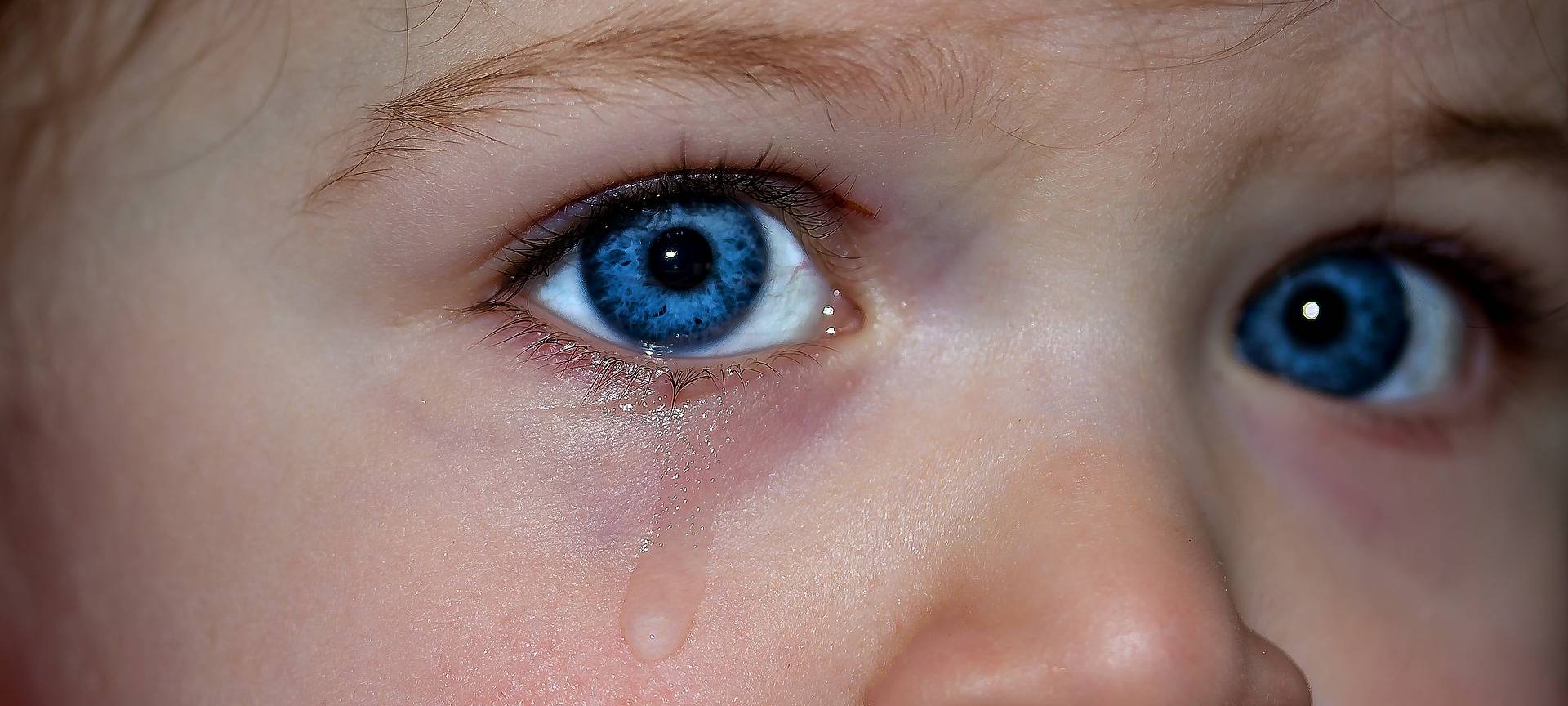 Kinderschutzbund will Fachstelle einrichten