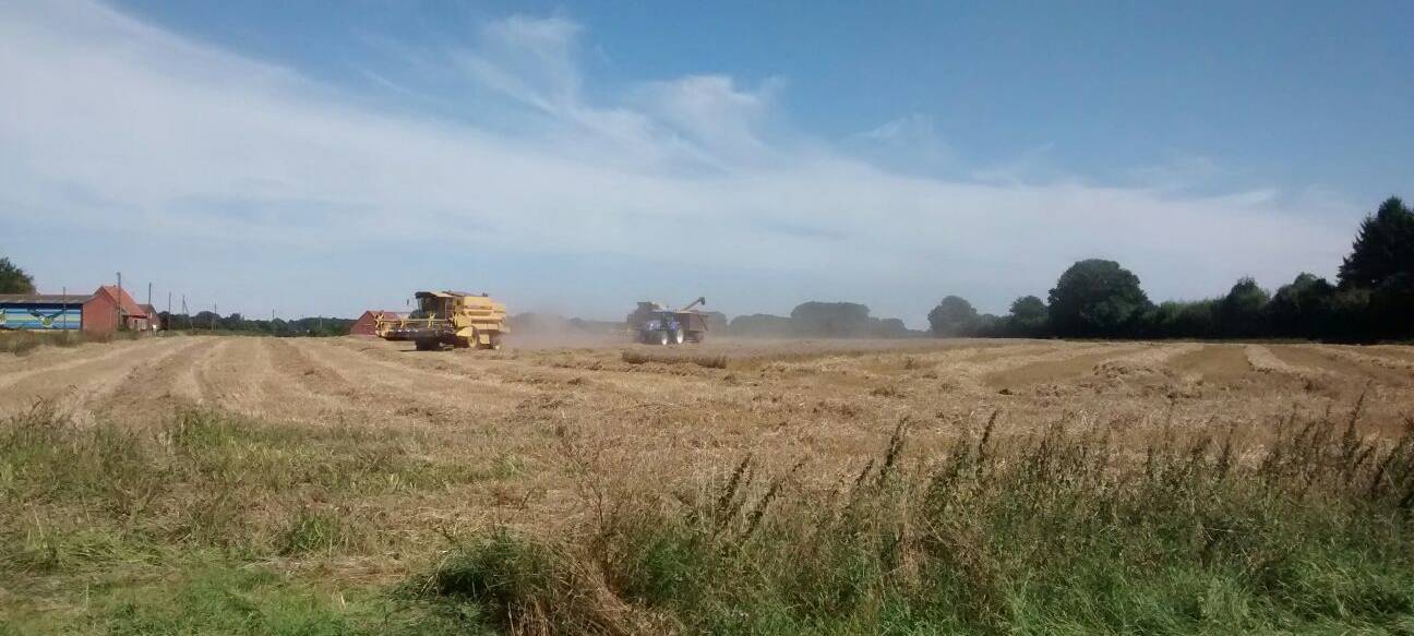 Landwirte demonstrieren vor Landwirtschaftsministerium