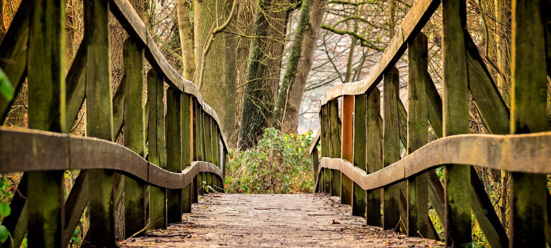 Bewerbungsphase Umweltpreis Olfen