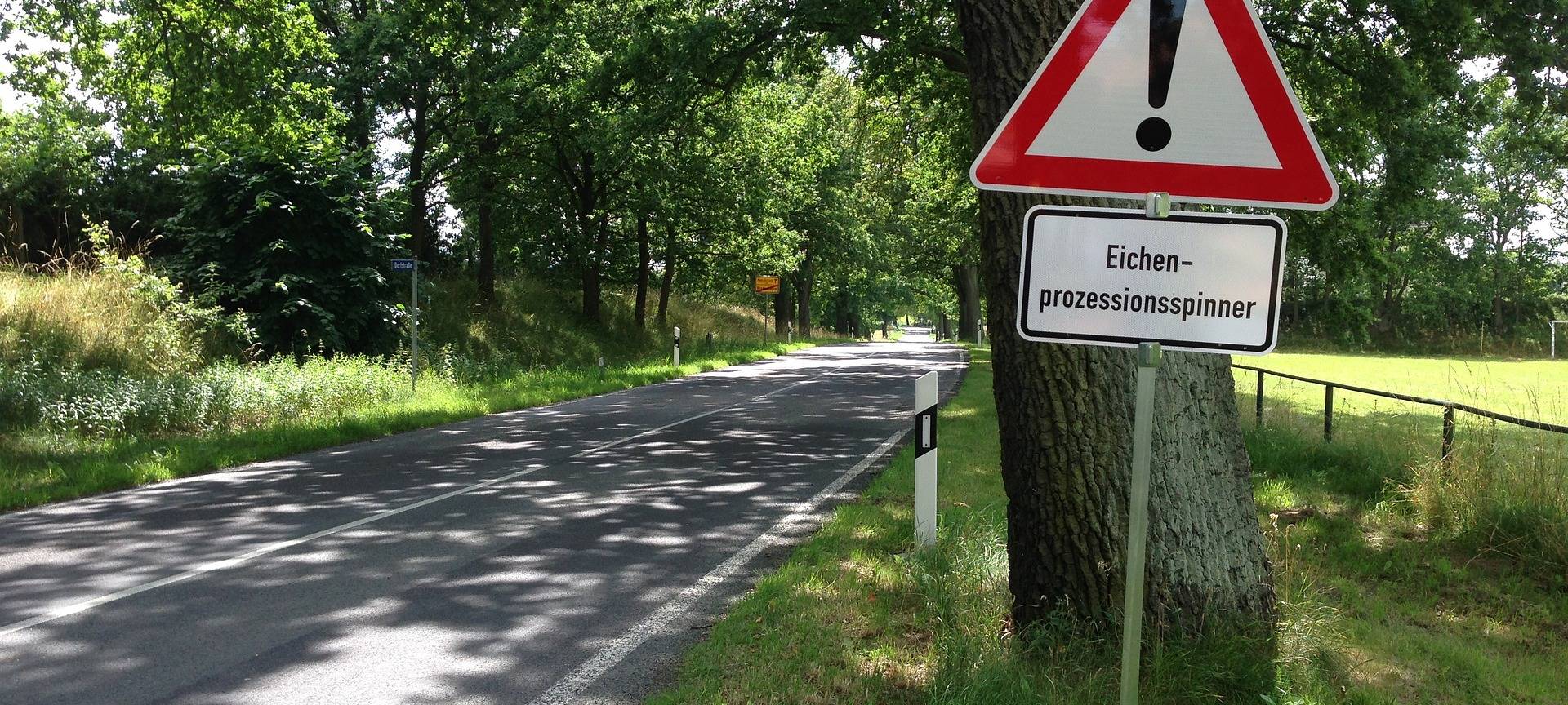 Große Resonanz beim Nistenkästen-Bau