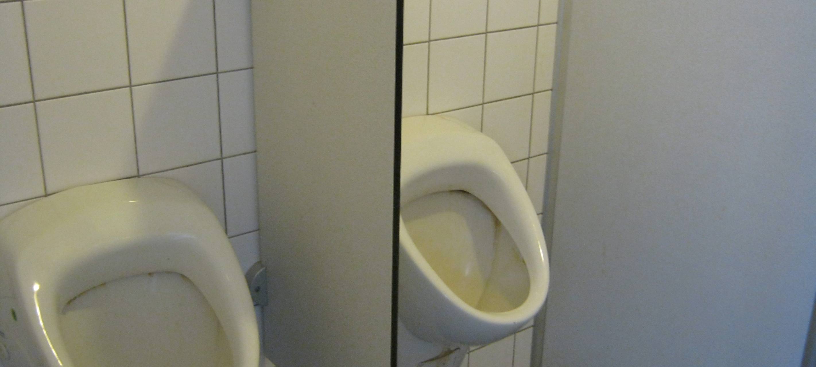 Welttoilettentag