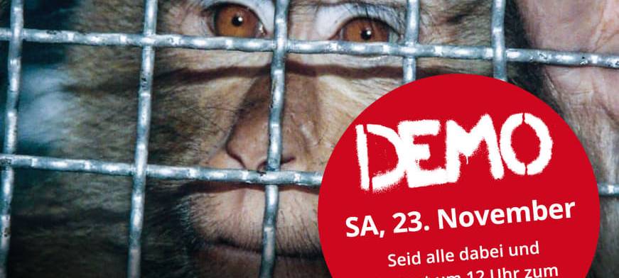KREIS: Demo in Münster gegen Tierversuche
