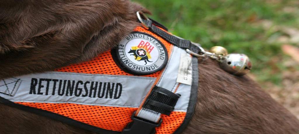Coesfeld: Rettungshunde trainieren im Bahnhof