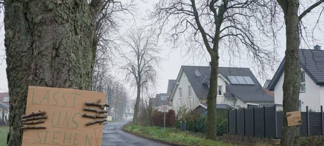 SEPPENRADE: Lebende Kastanien