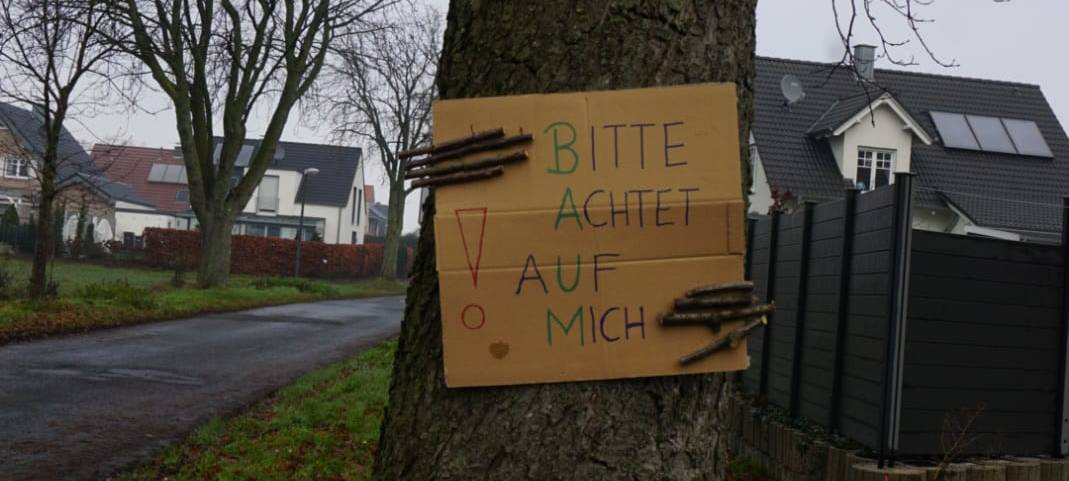 SEPPENRADE: Lebende Kastanien