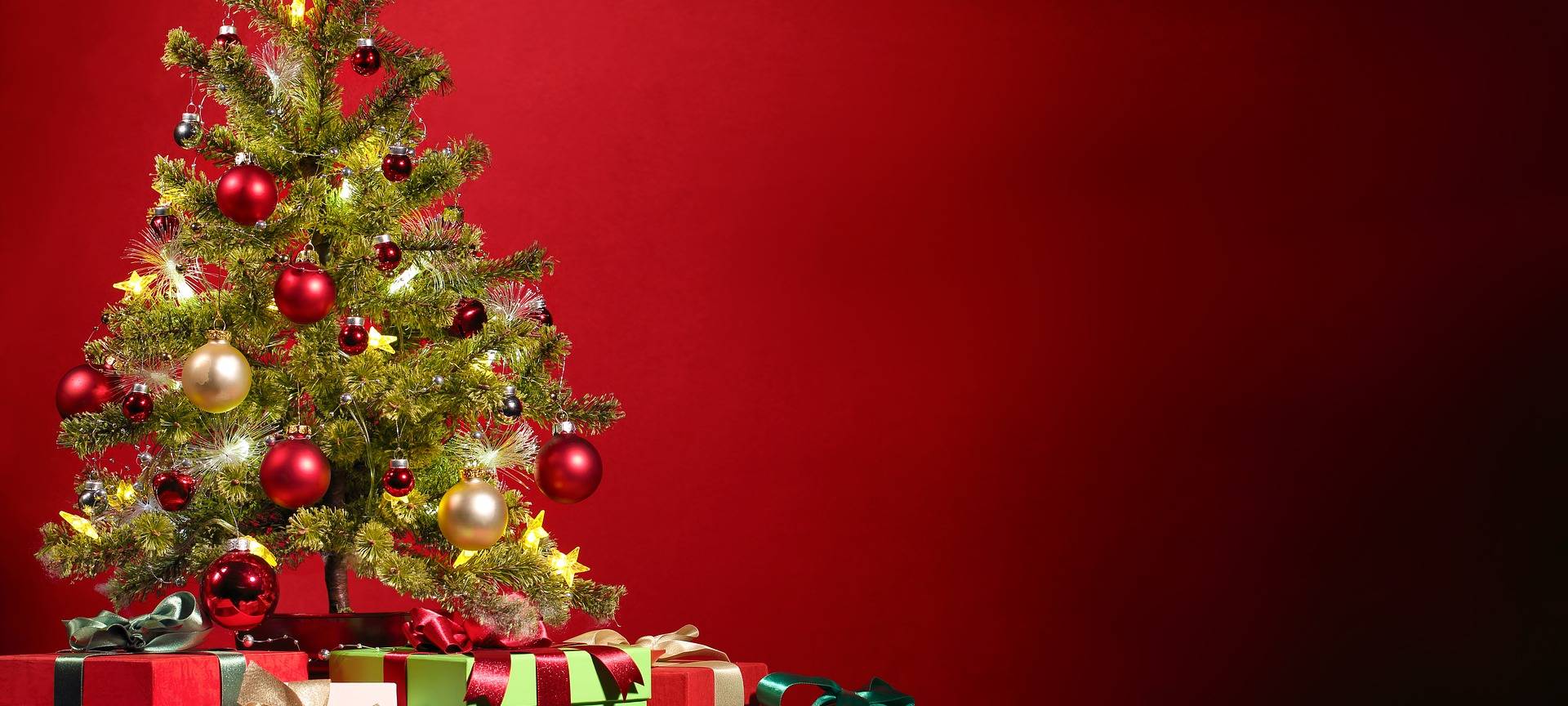 KREIS: Weihnachtsbaum Klimacheck
