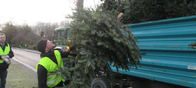 KREIS: Weihnachtsbaum-Einsammelaktionen