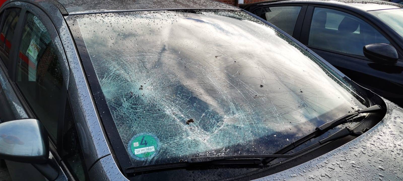 BULDERN: Vandalen zerstören Windschutzscheiben
