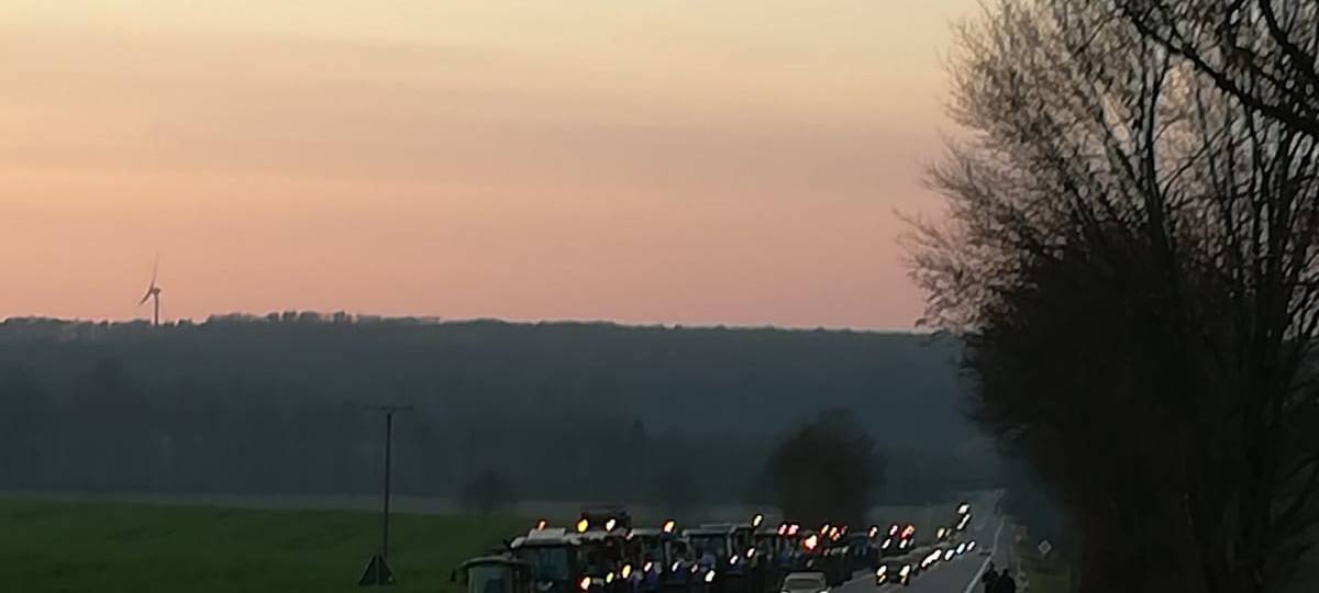 KREIS: 'Grüne Woche' in Berlin geht zu Ende