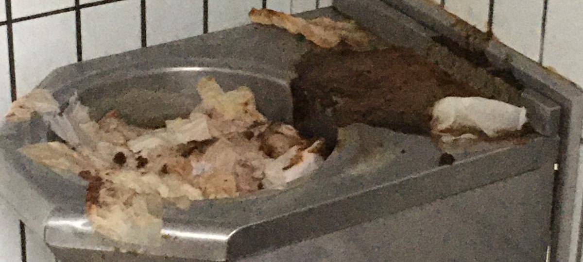 DÜLMEN: Ekelklo am Bahnhof