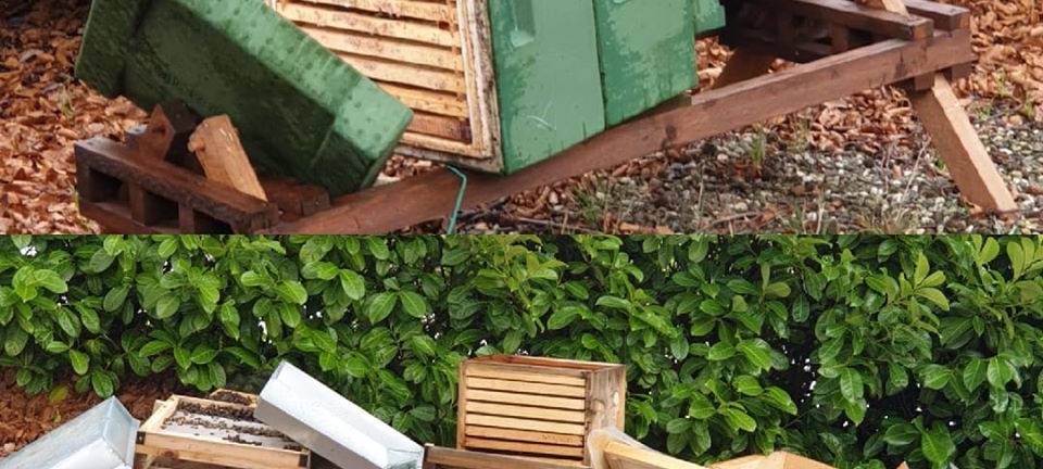 MERFELD: Kameras gegen Bienen-Vandalen
