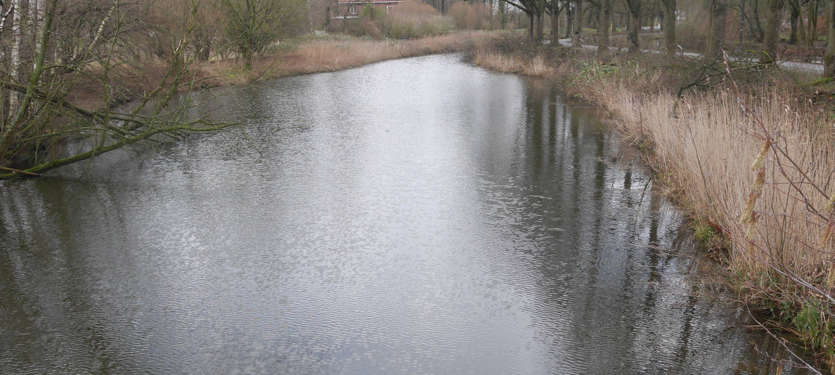 LÜDINGHAUSEN: Stadt baut eine Fischtreppe