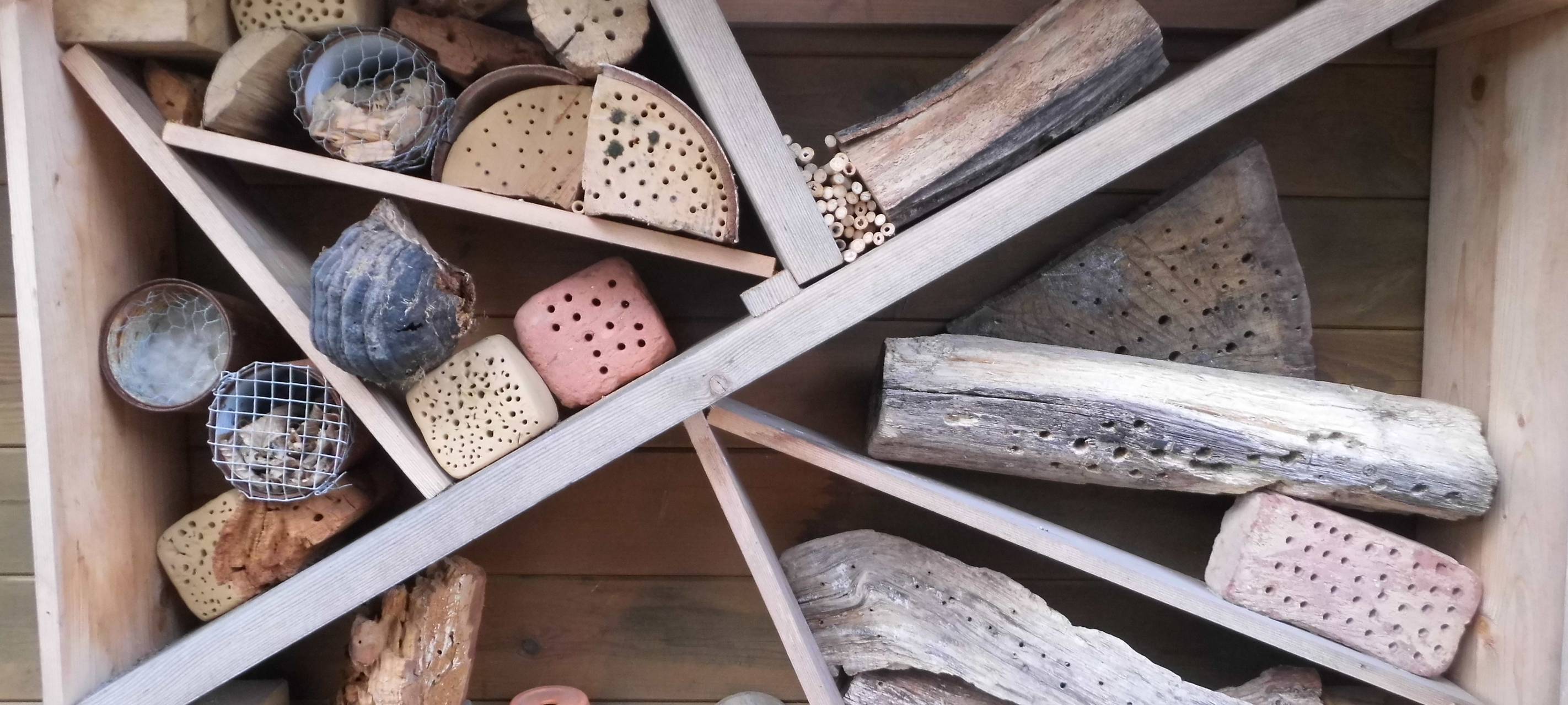 KREIS: Kreative Ideen für mehr Umwelt-Bewusstsein