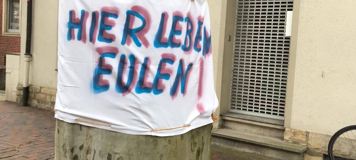 NOTTULN: Kampf um die Platanen geht weiter