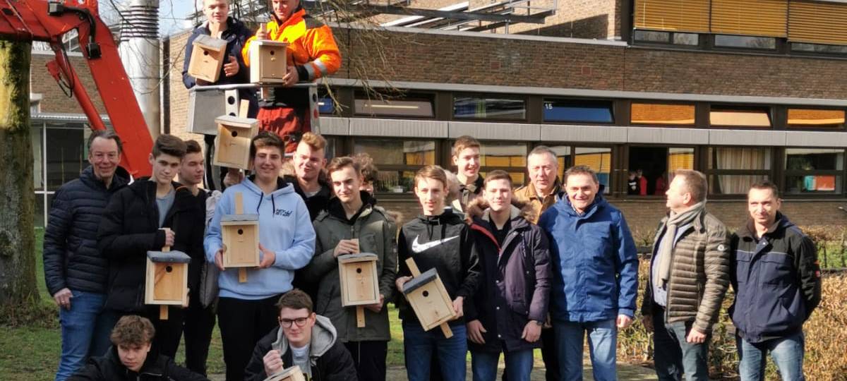 NORDKIRCHEN: Gesamtschule bekämpft Eichenprozessionsspinner