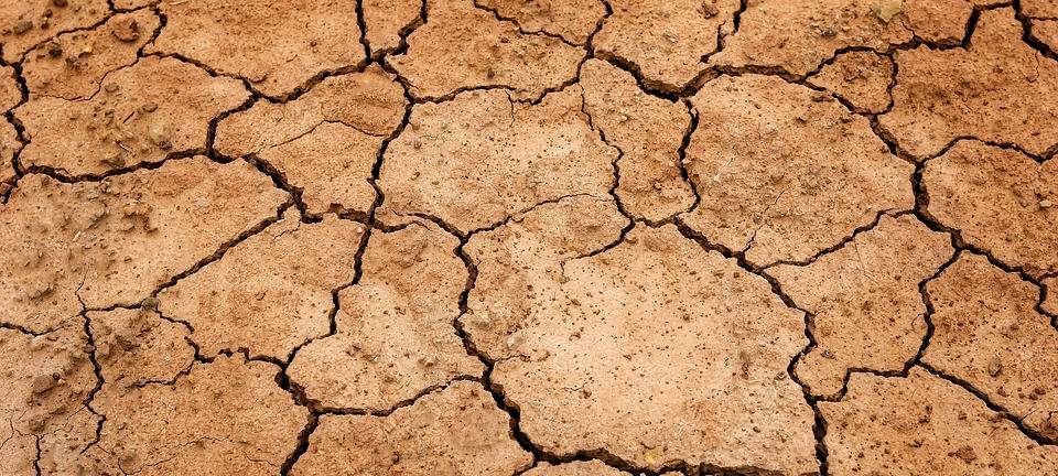 KREIS: Landwirte hoffen auf Regen