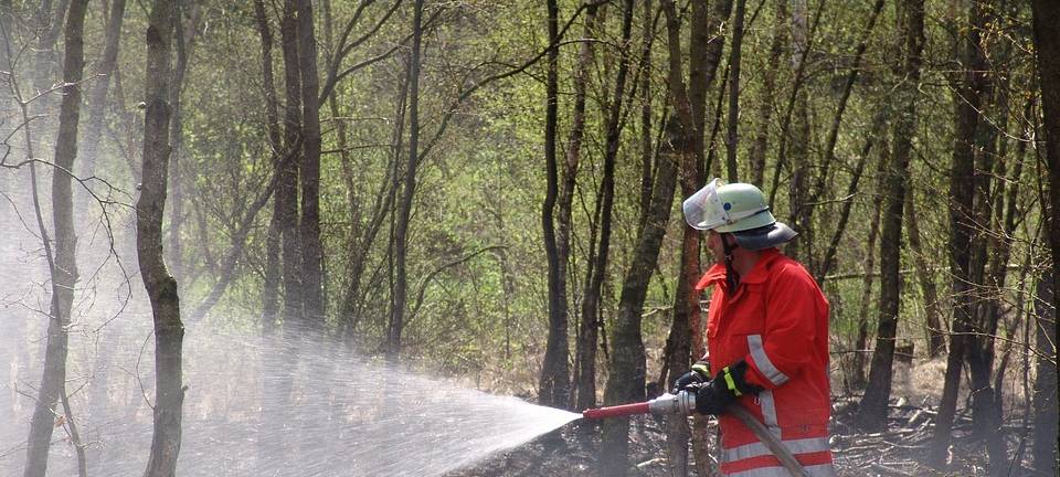 KREIS: Hohe Waldbrandgefahr