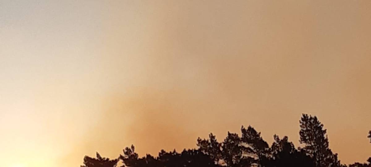 KREIS: Feuerwehr bei Waldbrandeinsatz in Viersen