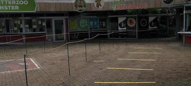 MÜNSTERLAND: Zoos und Museen öffnen wieder