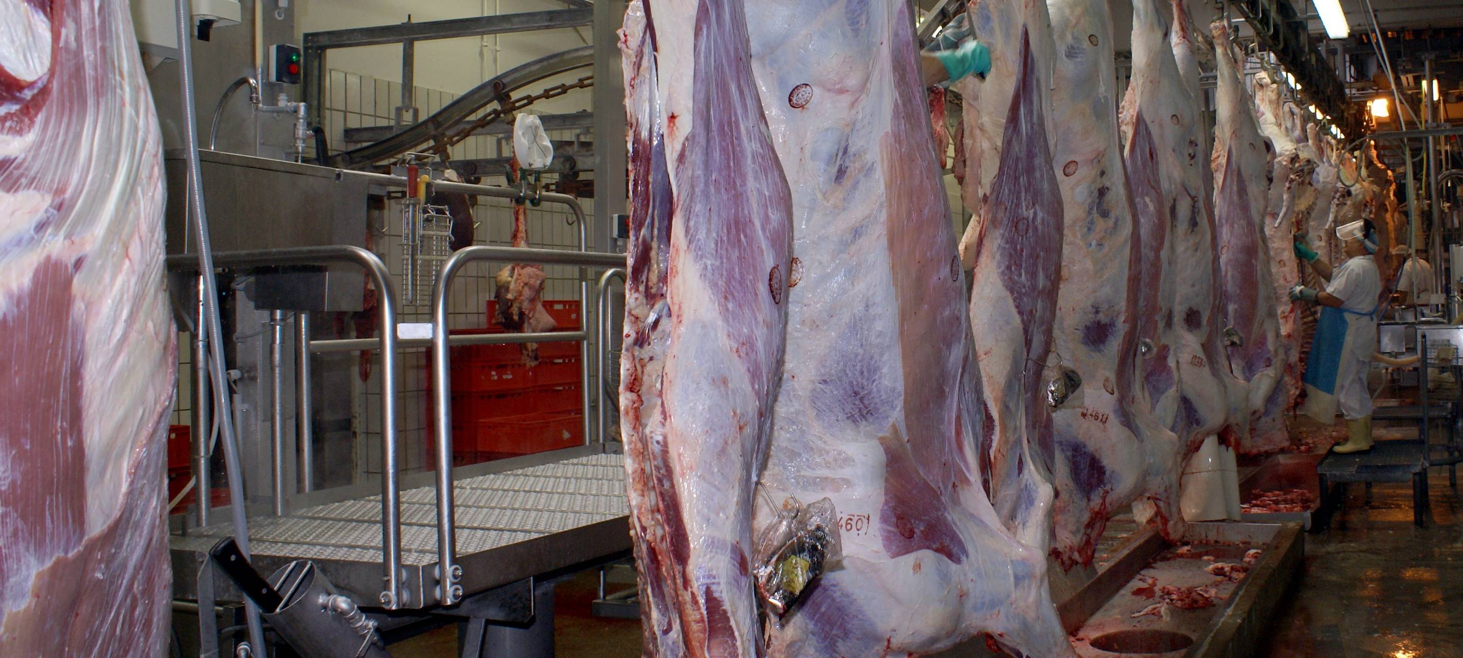 MÜNSTER: Großkontrolle bei Westfleisch