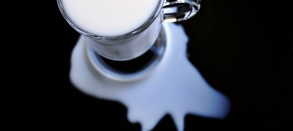 KREIS: Kritik zum Tag der Milch