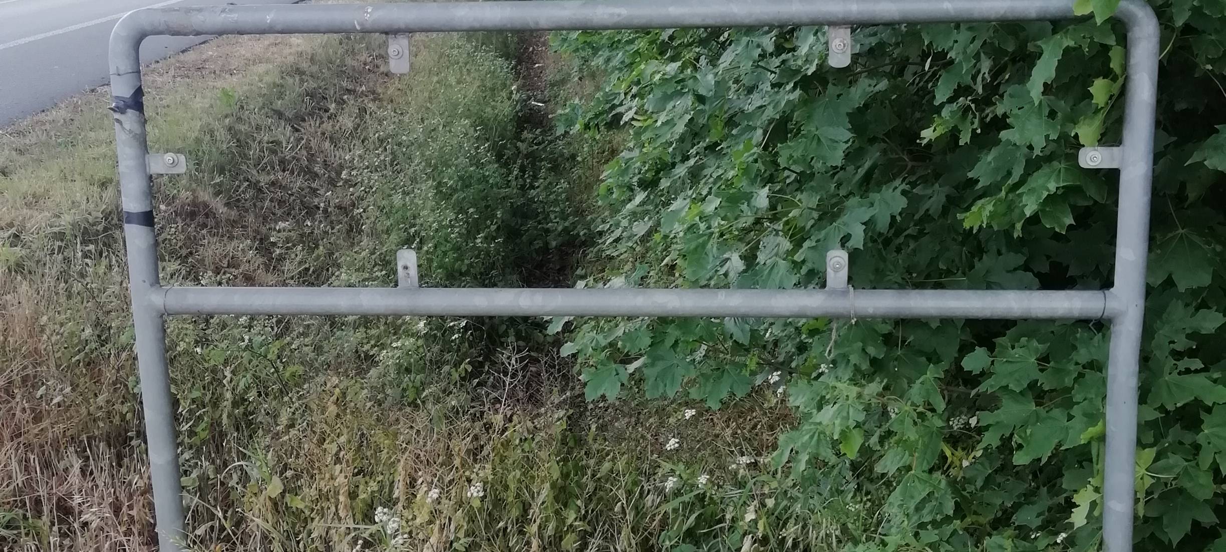 LETTE: Hinweisschild auf das Tierheim geklaut