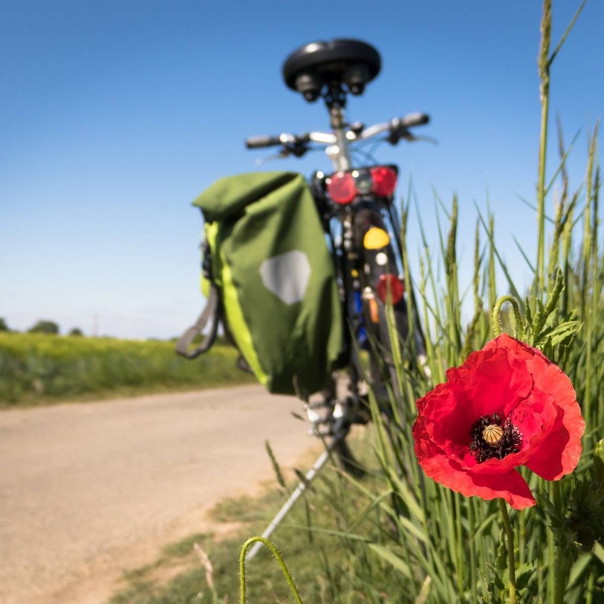 dülmen nach buldern mit dem fahrrad dülmen nach buldern mit dem fahrrad