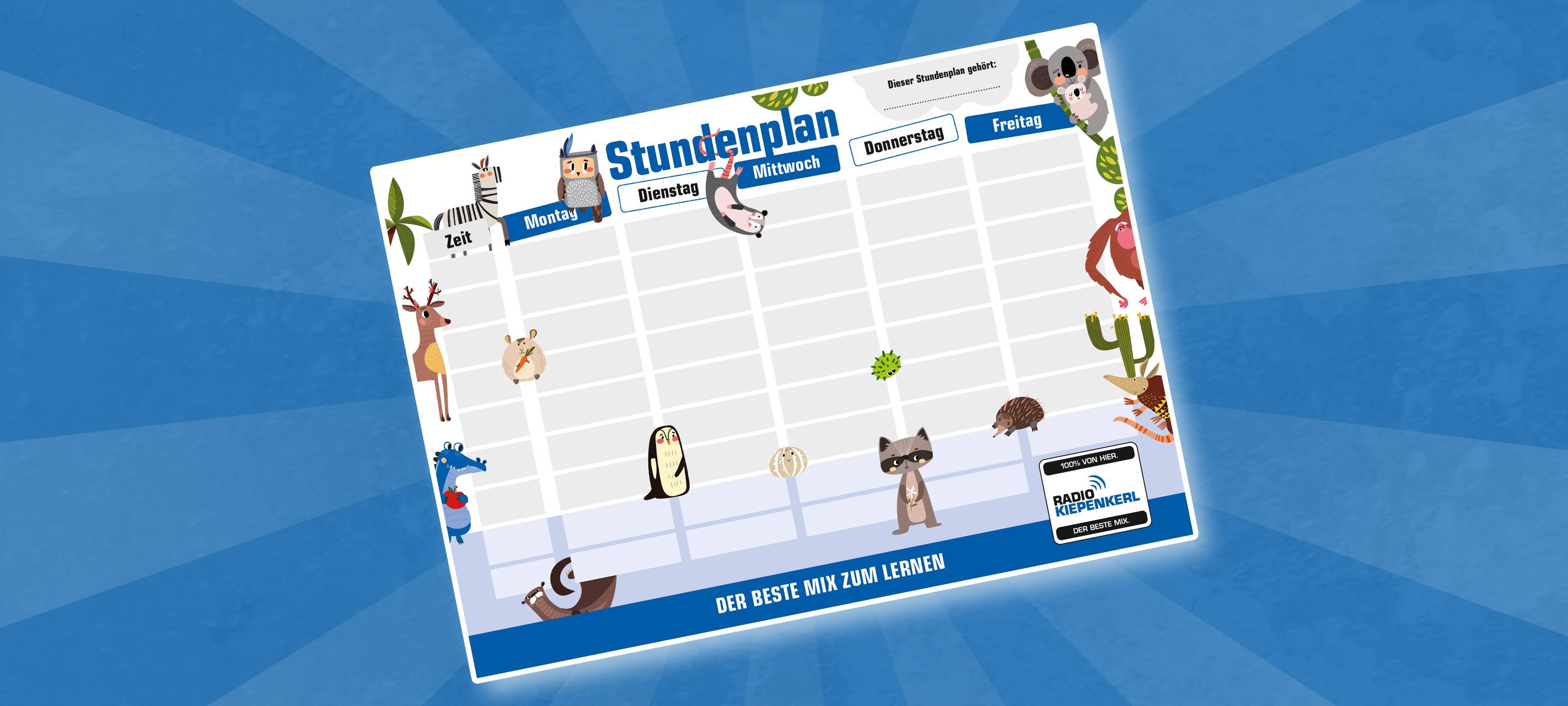 Service: Stundenplan zum Ausdrucken