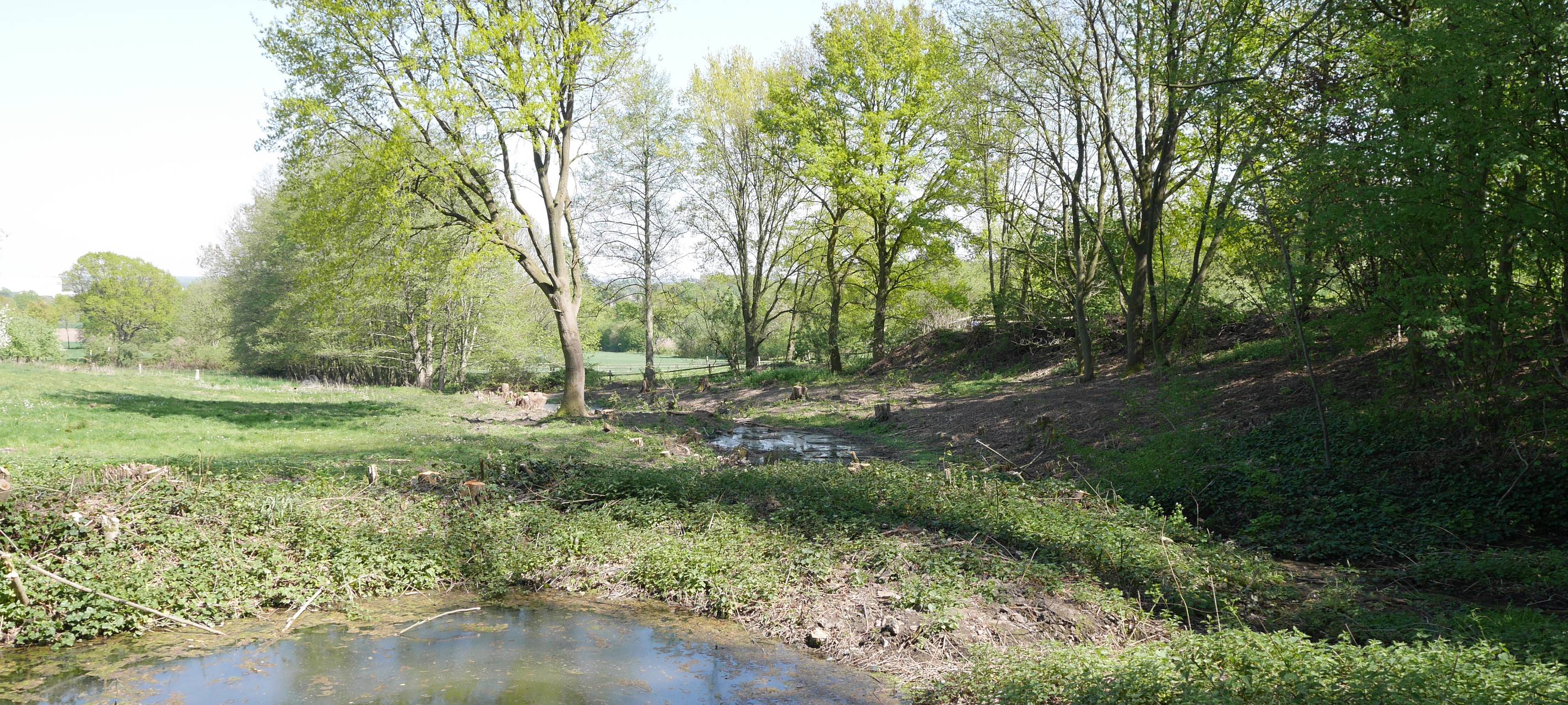 SEPPENRADE: Wolfsschlucht wird aufgewertet