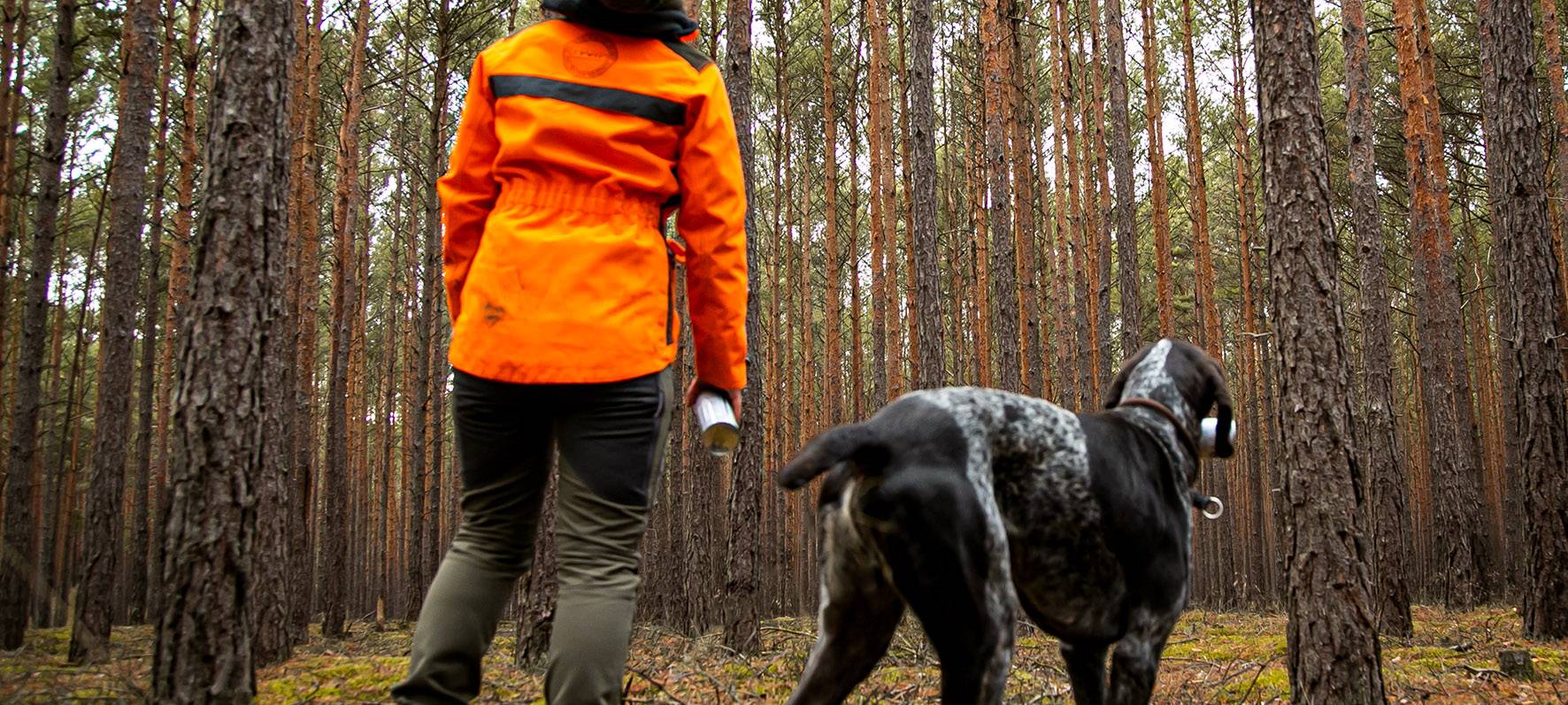 KREIS: Mehr Förster zum Wald-Wiederaufbau nötig