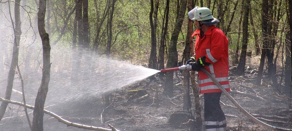 HALTERN: Waldbrand in der Nähe des Silbersees
