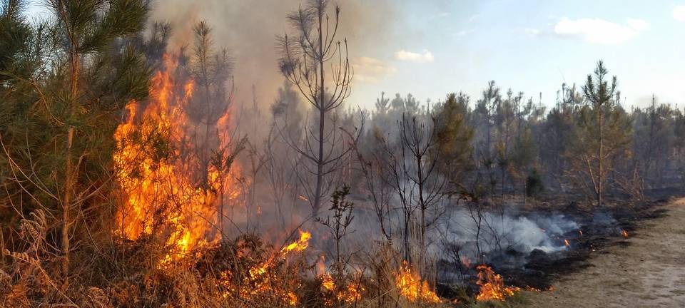 KREIS: Hohe Brandgefahr bei Trockenheit und Hitze