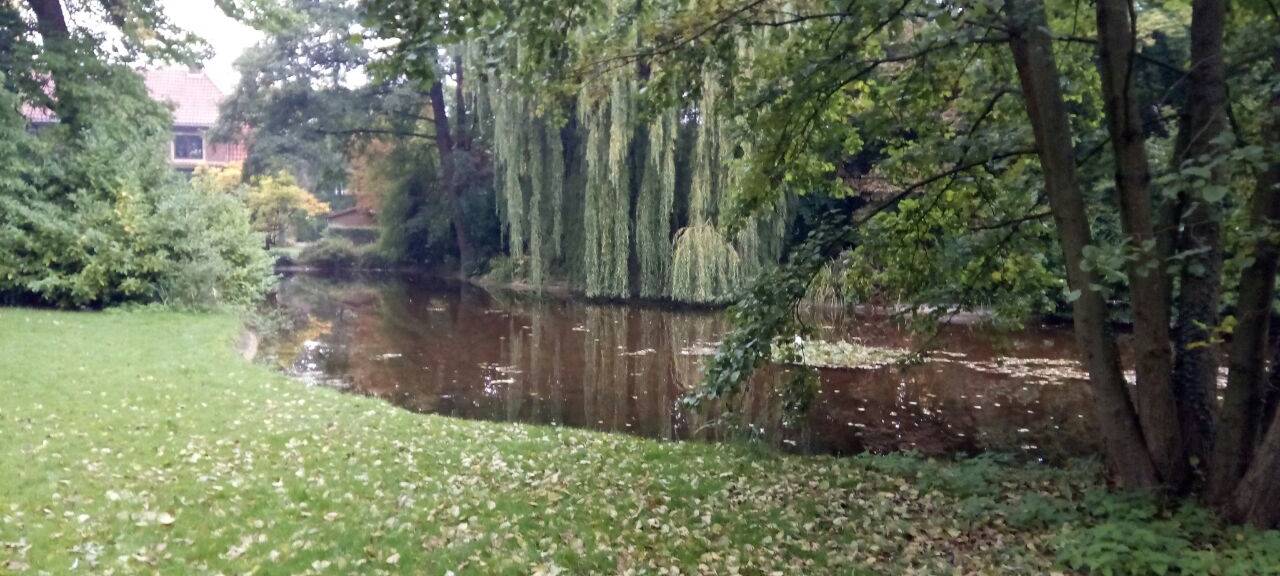 NOTTULN: Picknick im Rhodepark