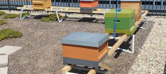 DÜLMEN: Bienen-Erlebnisgarten auf dem Stadtquartier