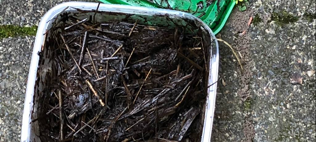 SENDEN: Päckchen sorgt für Aufregung