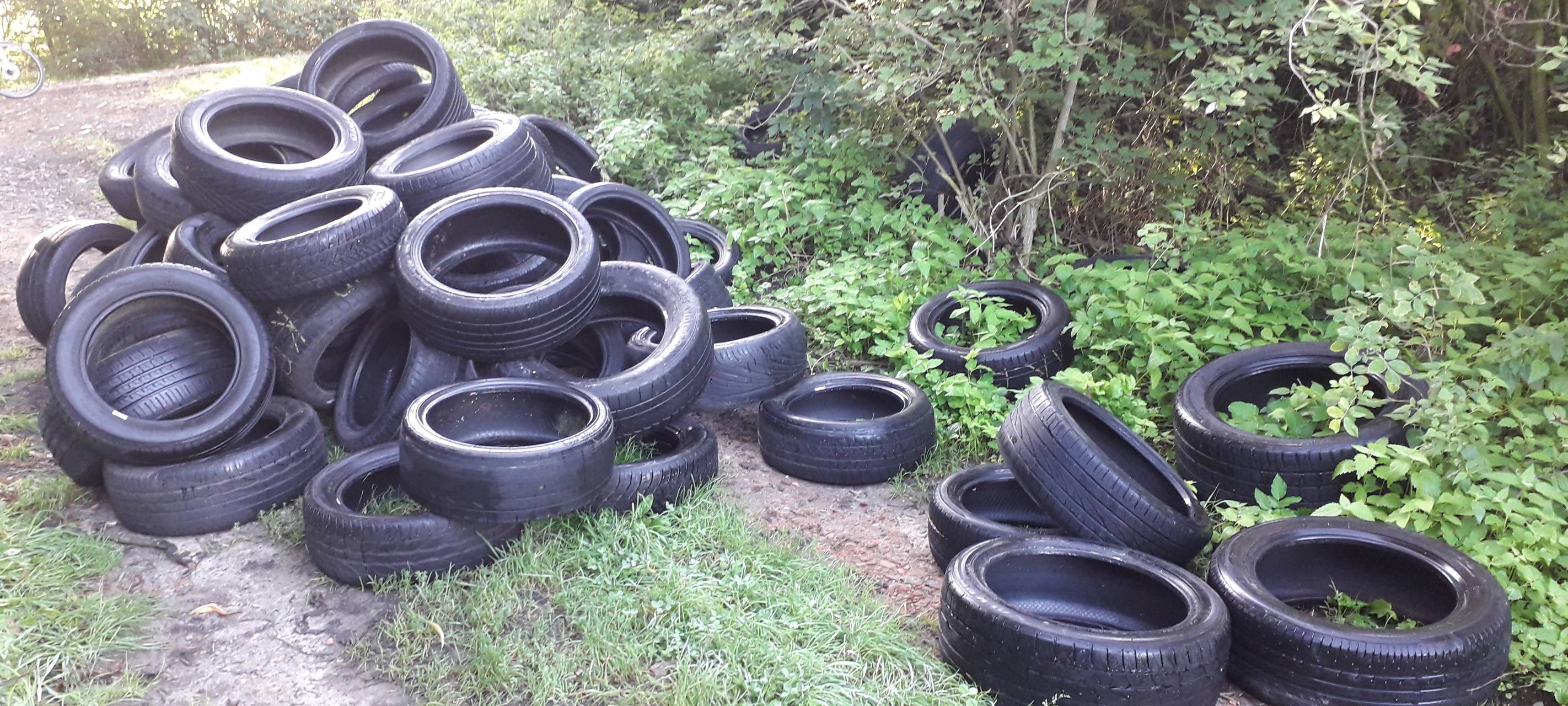 LÜDINGHAUSEN: Anzeige wegen wilder Müllkippen