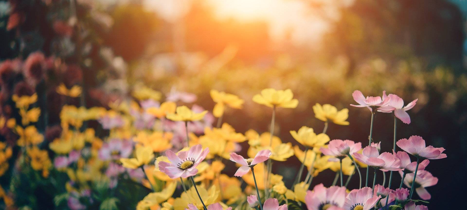 Erster Gartentag in Lüdinghausen
