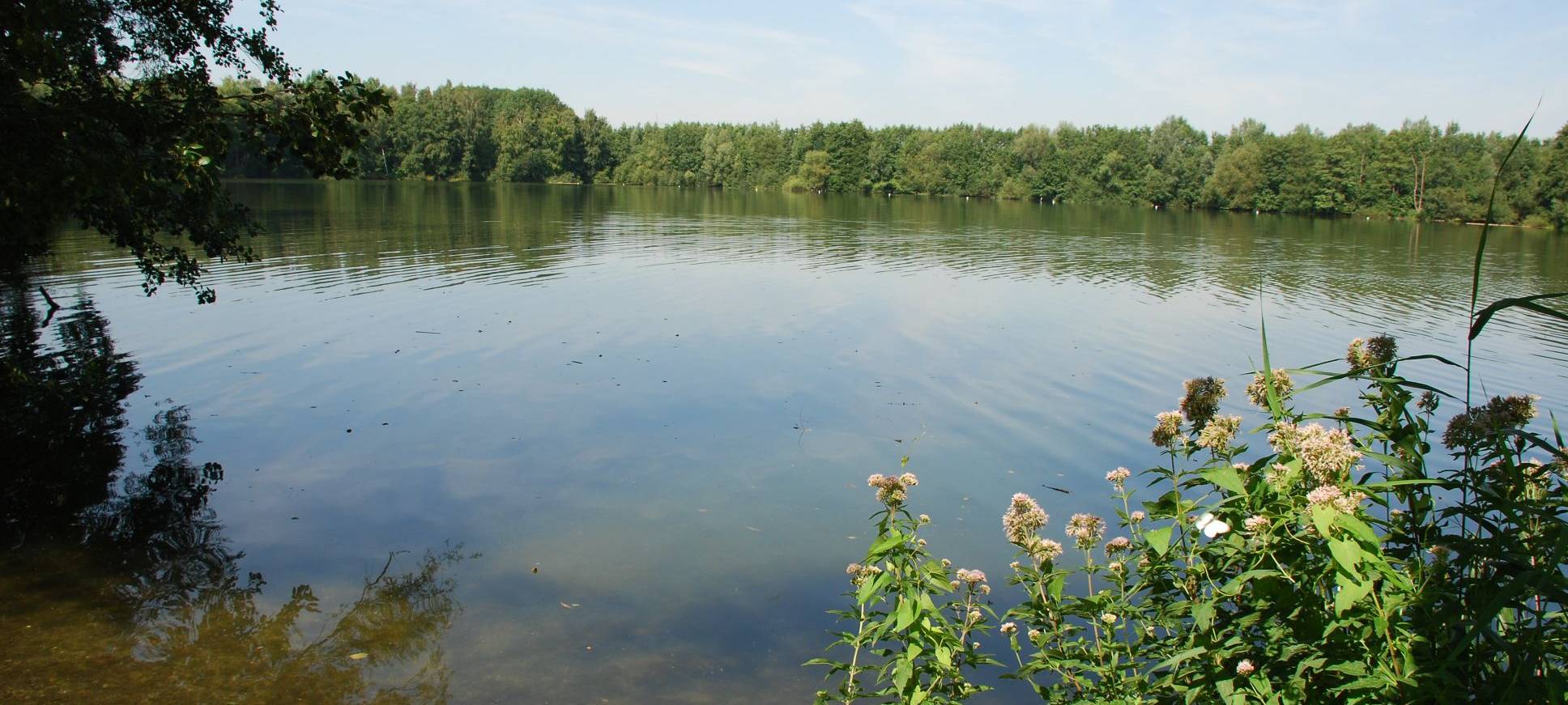 LÜDINGHAUSEN: Blaualgen im Klutensee?